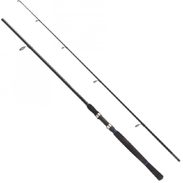 Fladen Charter Spin Kamış 2P 240Cm 20-40G Aksiyon