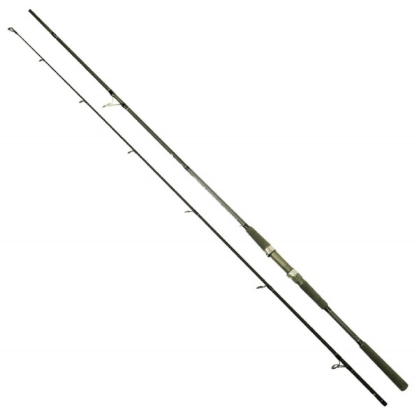 Captain 1465 Assai Spin 2 Parça Shore Jig Kamışı 290cm 30-125gr Atar